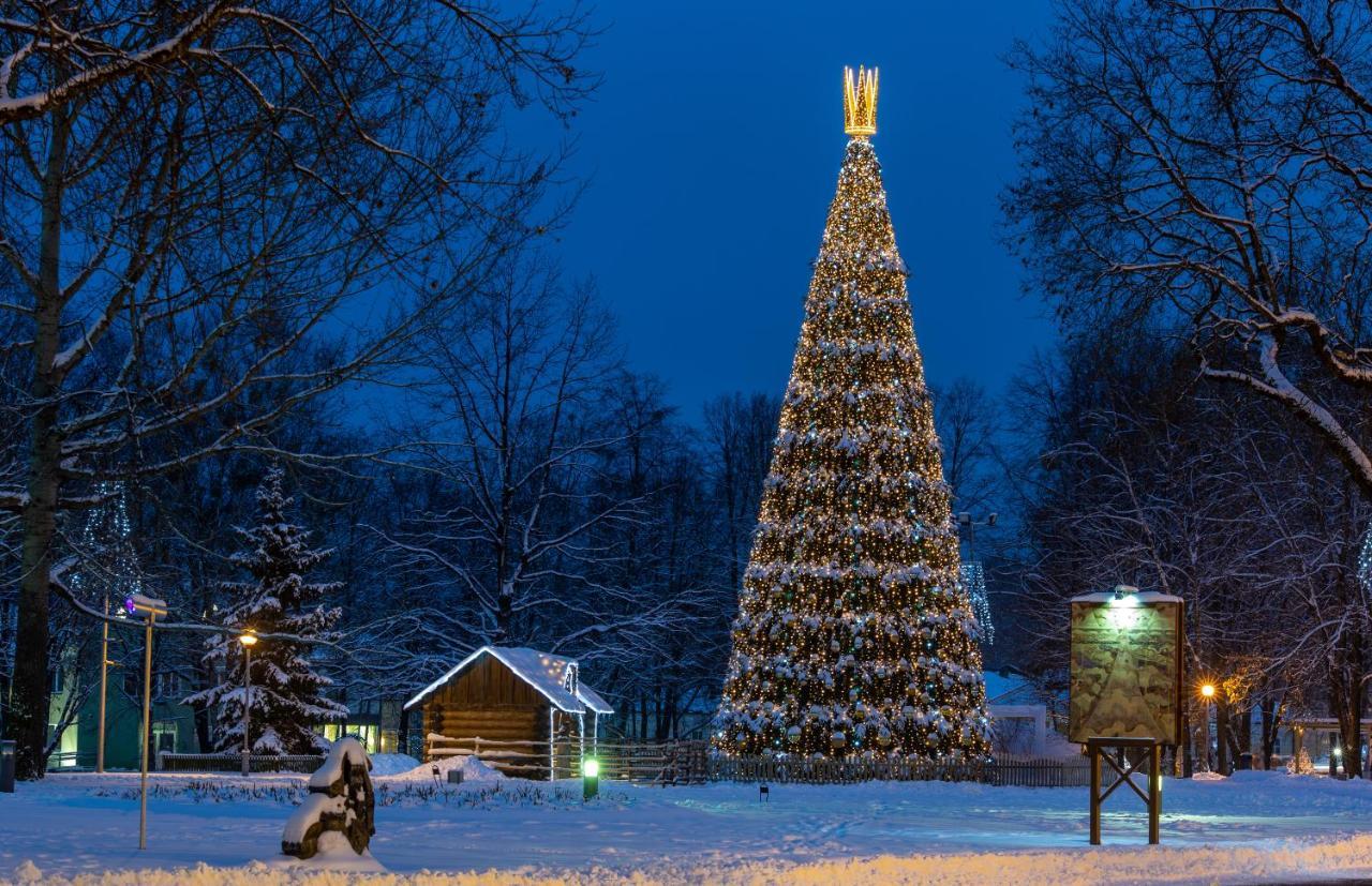 Vila"Radium" Druskininkai Bagian luar foto